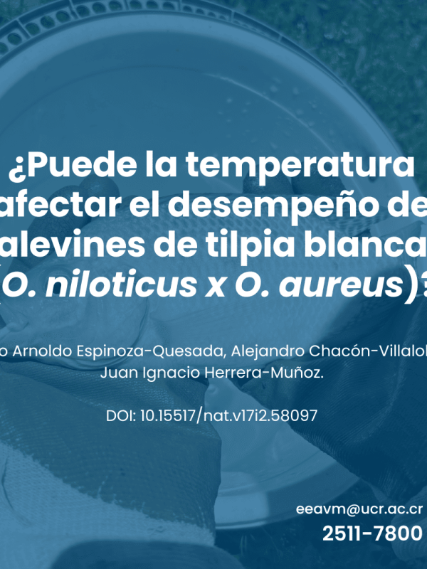 ¿Puede la temperatura afectar el desempeño de alevines de tilpia blanca (O. niloticus x O. aureus)?